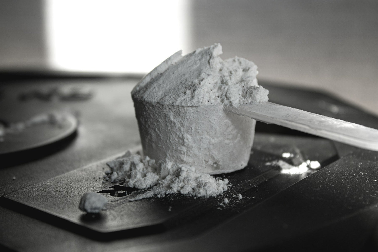 Fine white creatine powder in a steel scoop